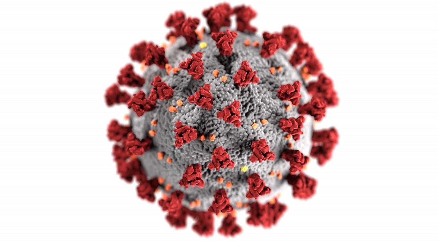 novelcoronavirus-optimized-1536