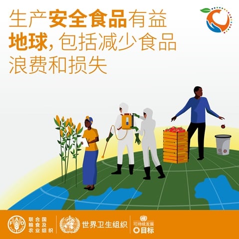 生产安全食品有益地球，包括减少食品浪费和损失